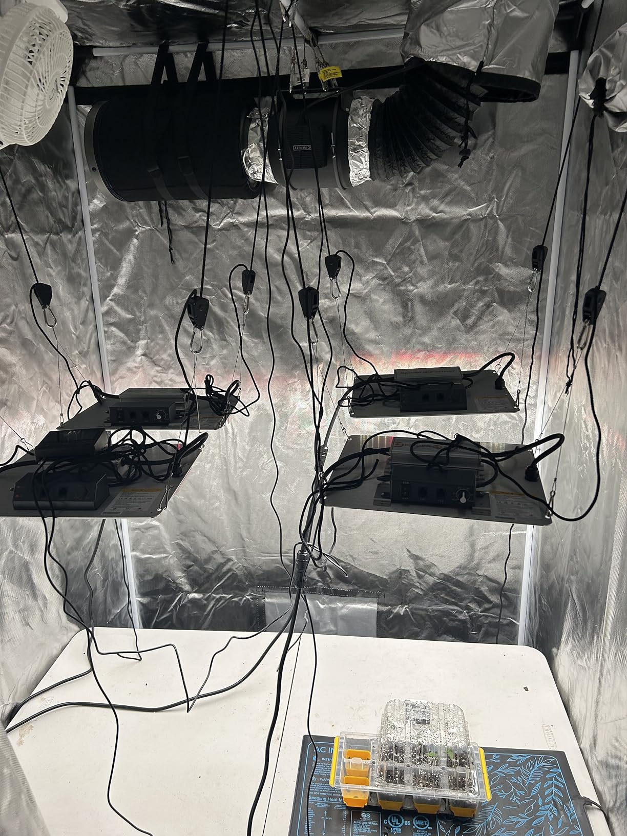 Spider Farmer SF1000 100W LED Grow Light for Indoor Plants, Upgraded High Efficiency LEDs, Dimmable Full Spectrum High PPFD, Deep Penetration for Seed Starting/Vegetables/Bloom in 2x2/3x3 Grow Tent customer photo 1