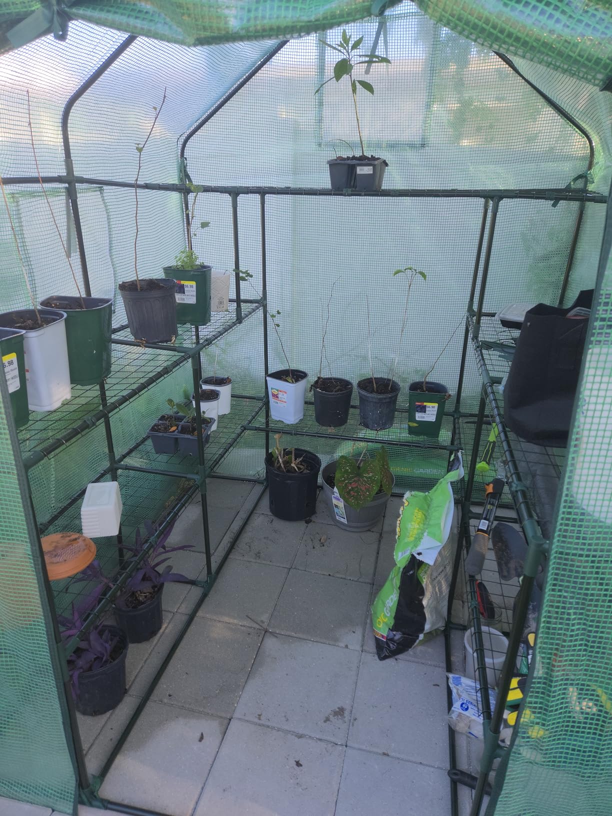 Ohuhu Greenhouse for Outdoors with Mesh Side Windows, 3 Tiers 4 Shelves Small Walk-In Green House Plant Stands Plastic PE Cover Outside Portable Warm House for Seedling Flowers Growing customer photo 1