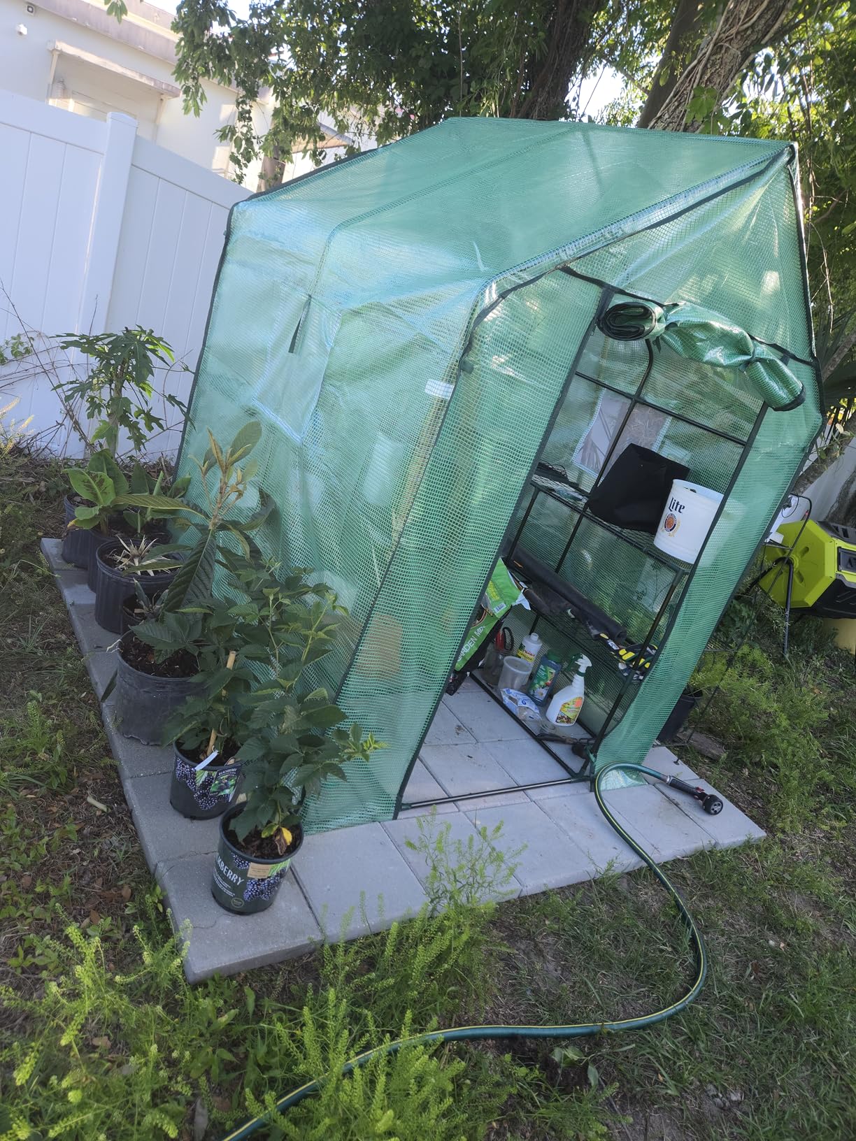 Ohuhu Greenhouse for Outdoors with Mesh Side Windows, 3 Tiers 4 Shelves Small Walk-In Green House Plant Stands Plastic PE Cover Outside Portable Warm House for Seedling Flowers Growing customer photo 2