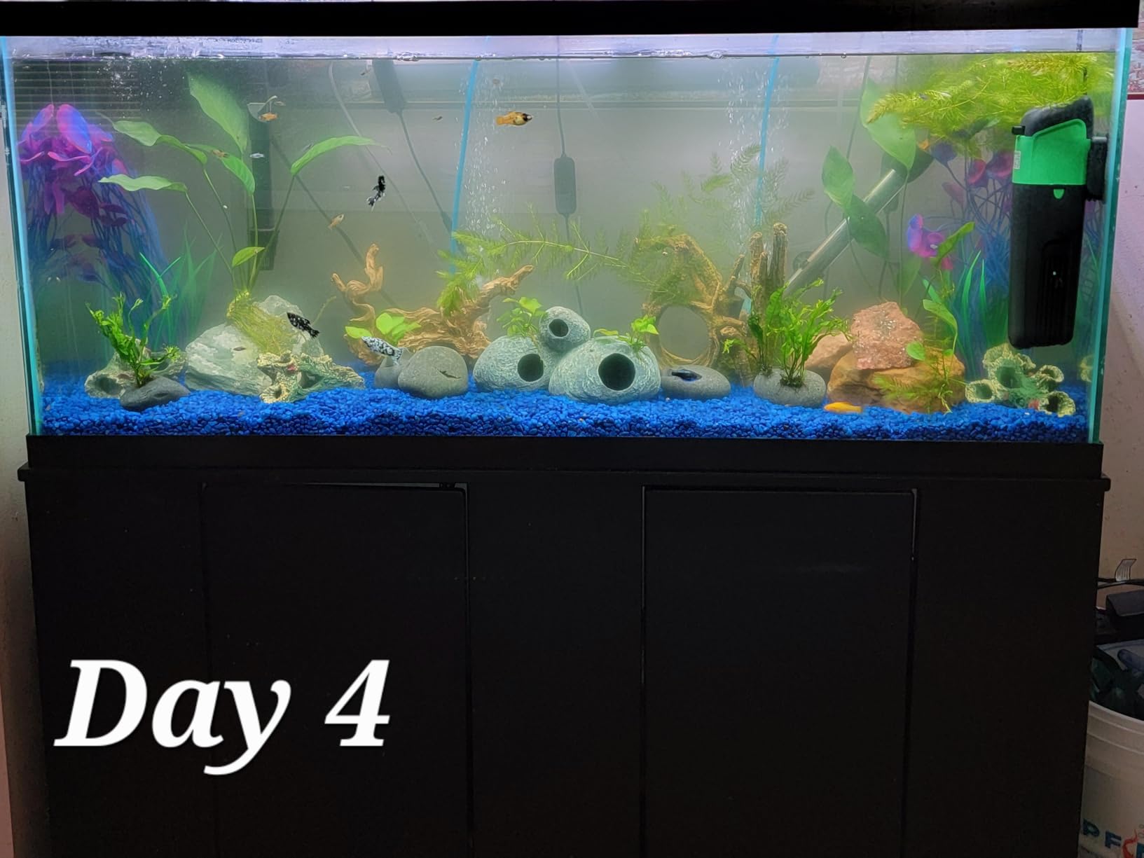 COODIA Internal Green Water Killer Aquarium Filter Tank U-V Pump customer photo 1