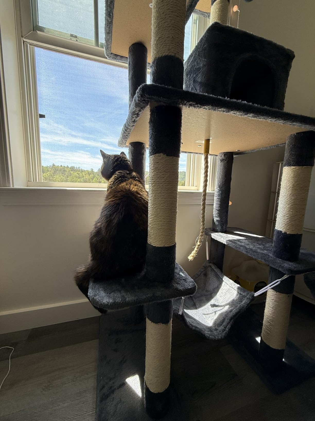Yaheetech Large Multi-Level Cat Tree, 63 Inches Tall with Sisal-Covered Scratching Posts, Condo, Hammock, Dangling Ball, and Extended Platform for Cats to Play and Sleep customer photo 2