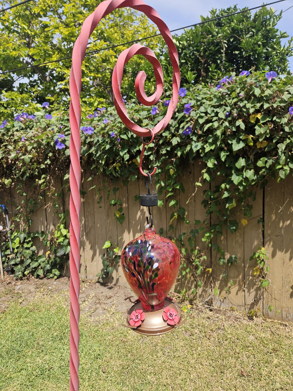 LUJII Hummingbird Feeder, Hand Blown Glass Hummingbird Feeder, Never Fade, 36 Fluid Ounces, 5 Feeding Metal Stations, Much Bigger, Garden Backyard Decorative, Containing Ant Moat (Blue) customer photo 2
