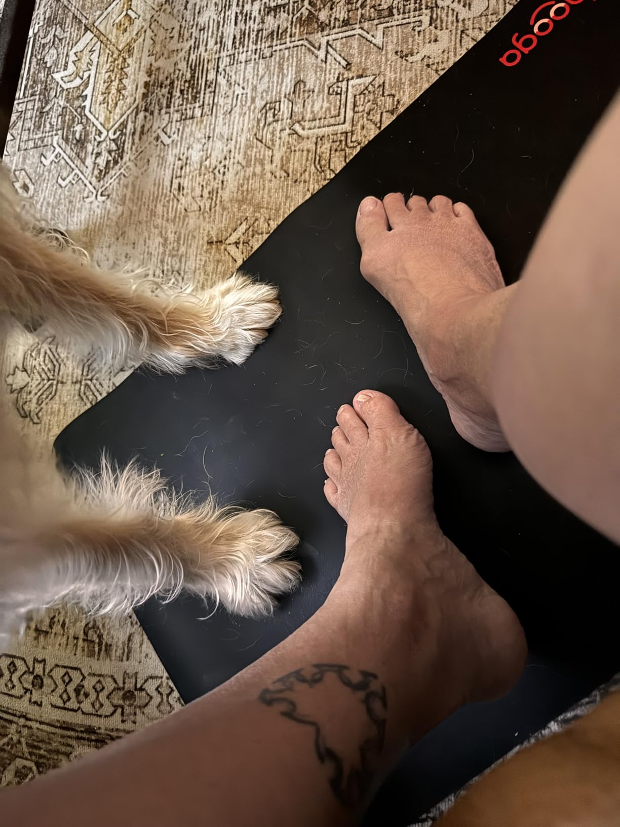 hooga Grounding Mat for Feet, Desk & Floor | Sleep, Stress Relief & Muscle Relaxation | 24