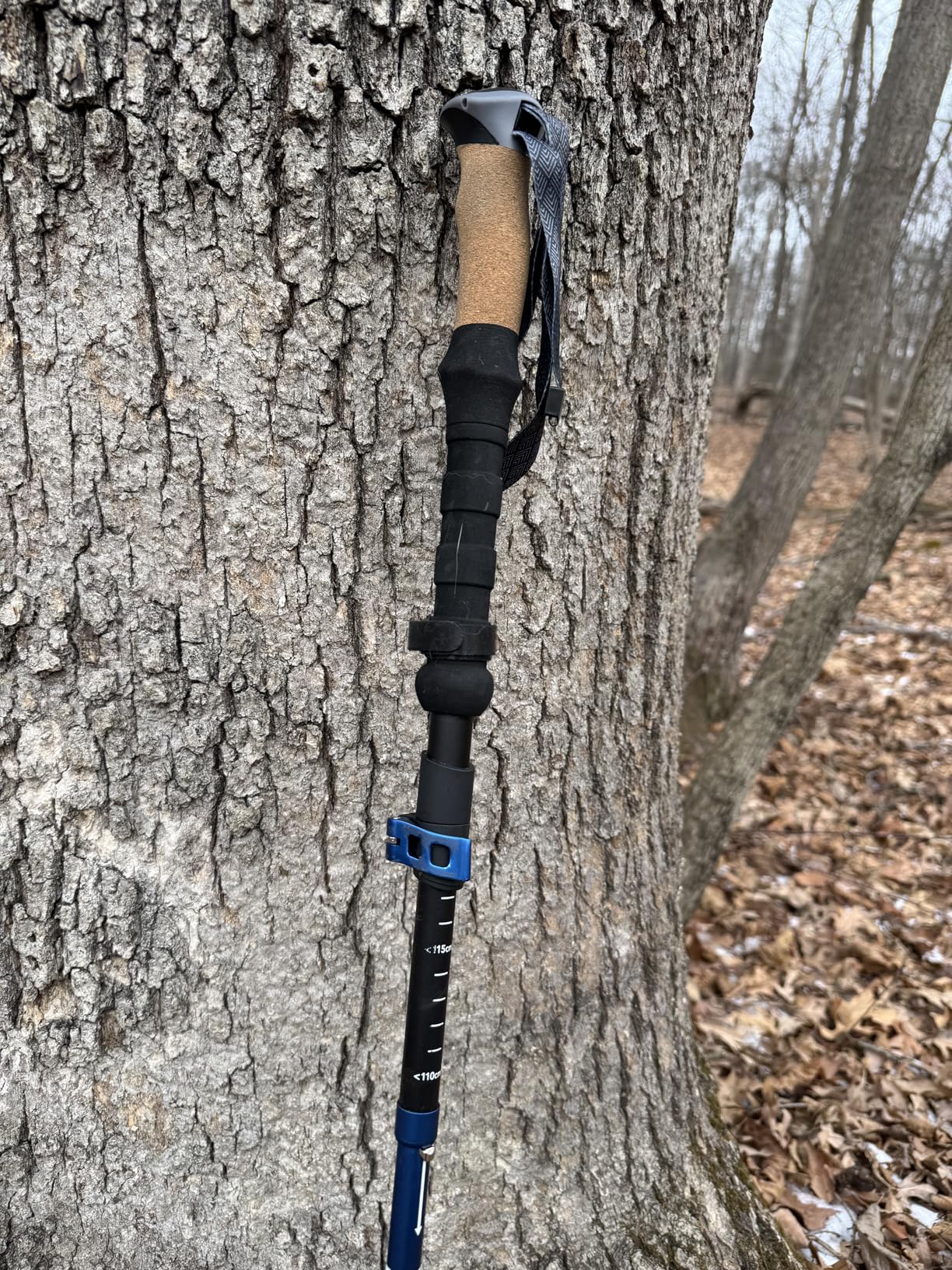 TREKOLOGY Trek-Z Cork Grip Trekking Poles - Lightweight Folding Hiking Poles, Adjustable Height, Compact Travel Design, Aircraft-Grade Aluminum Walking Sticks for Men & Women customer photo 2