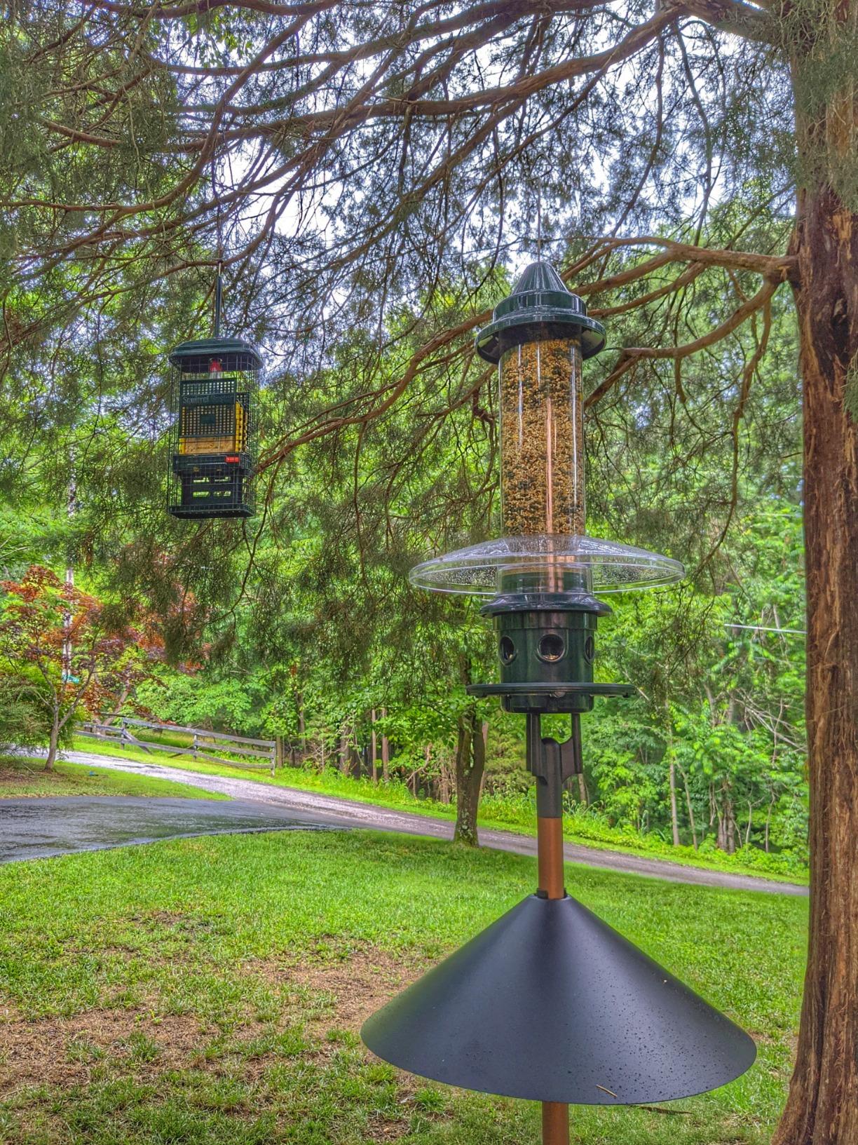 Squirrel Buster Suet Squirrel-Proof Suet Bird Feeder with Two Suet Cake Trays, Two Crumb Ports, Mess-Free Suet Loading, Durable Green Design for Clinging Birds customer photo 1
