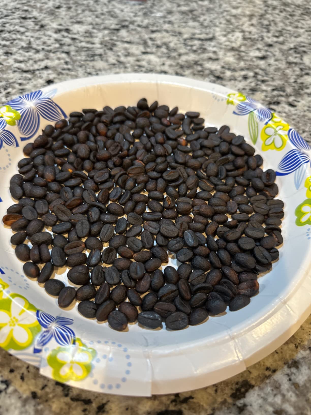 Coffee Roaster Machine for Home Use, 800g Capacity Electric Coffee Bean Roaster Machine with Timer 0-240C Non-Stick for Cafe Shop, Nut, Peanut, Black Bean, Soybeans 110V 1200W customer photo 2