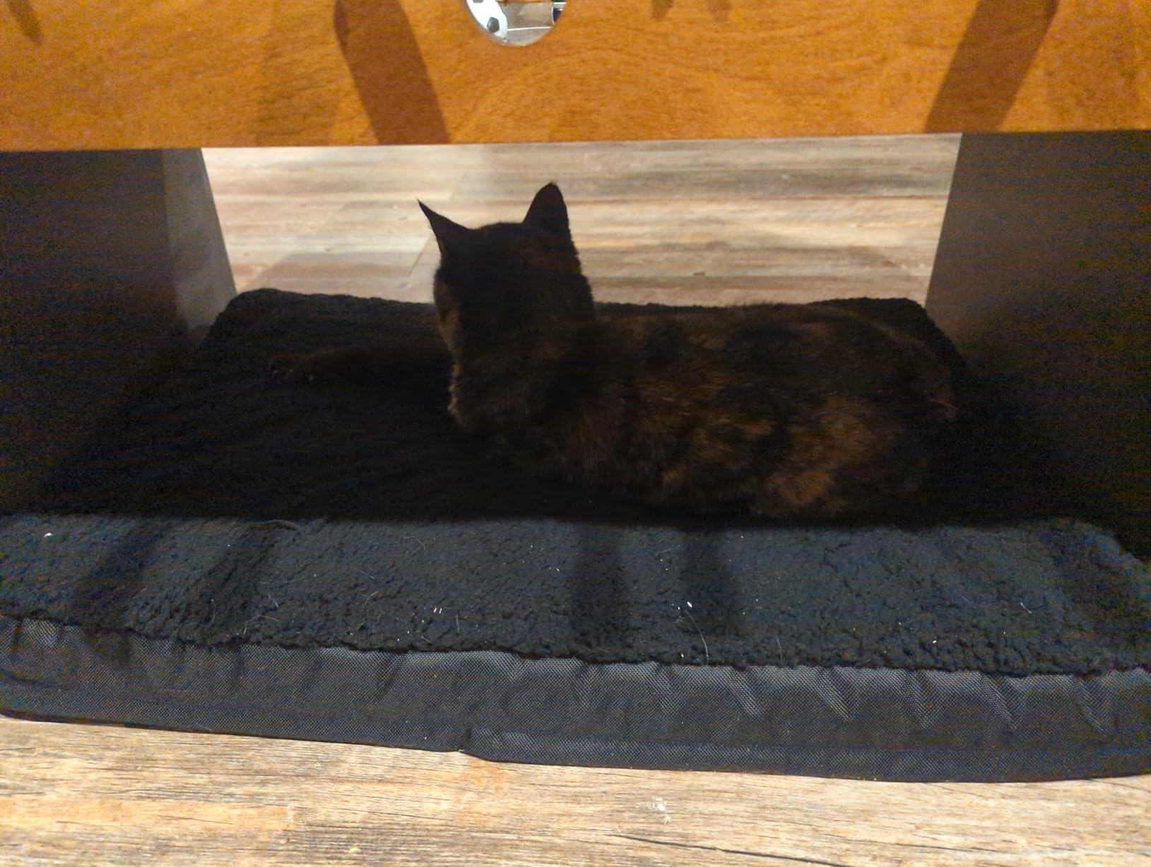 Bedsure XL Dog Beds Large Sized Dog -Comfy Flat Extra Large Pet Beds with Removable Washable Cover, Orthopedic Egg Crate Foam Mat, Suitable for Pet Up to 100 lbs customer photo 1