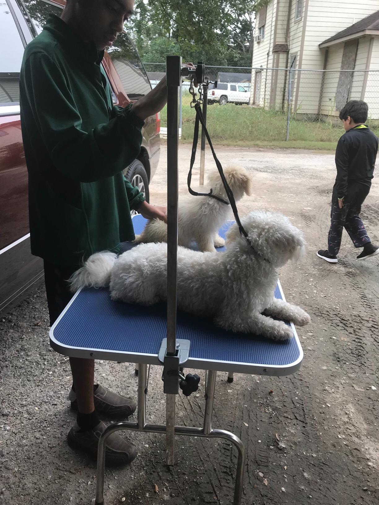 Bonnlo 32-inches Pet Grooming Table, Portable Dog Grooming Table with Arm Noose & Mesh Tray, Adjustable Foldable Pet Groom Table Stand for Dog Cat, Maximum Capacity Up to 330 LBS (32in) customer photo 2
