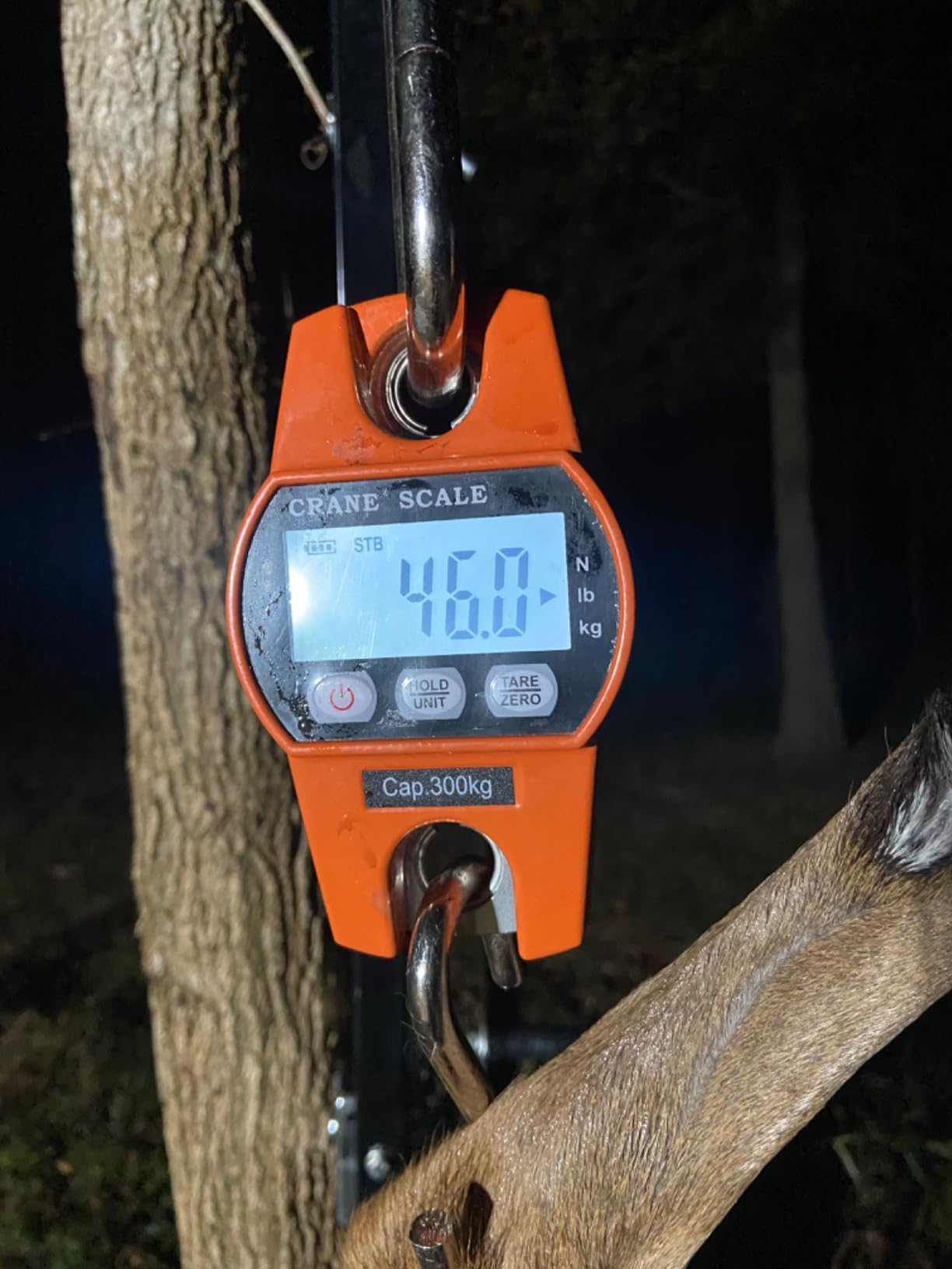 Fuzion Heavy Duty Crane Scale - 660LB, Aluminum Body, Stainless Steel Hook, Large Digital Display, Hanging Scales for Farms, Hunting and Fishing customer photo 1