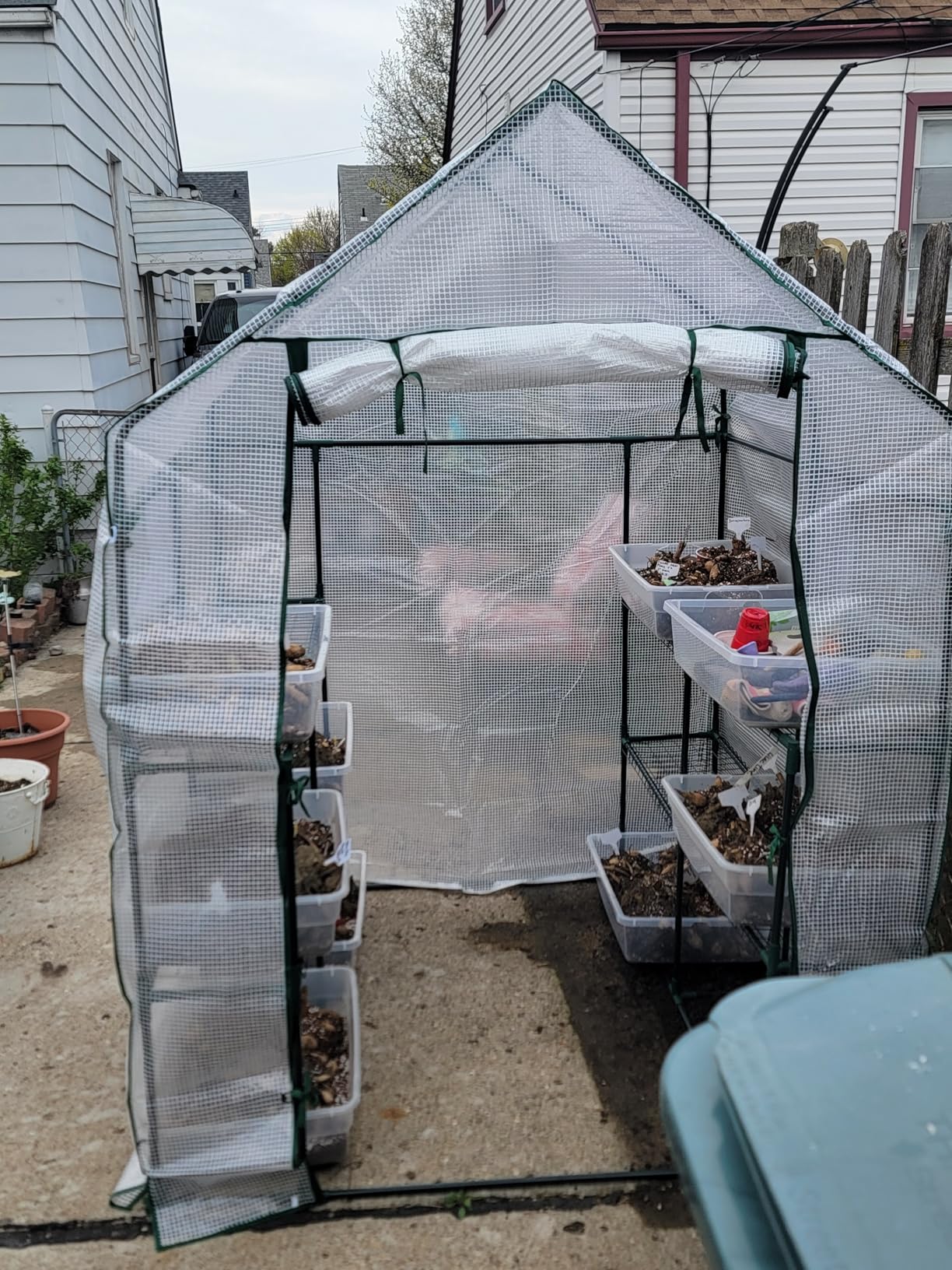 Mini Greenhouse,Greenhouses for Outdoors,Portable Walk in Green House for Garden Plants that Need Frost Protection and Away from Pests, Animals(56