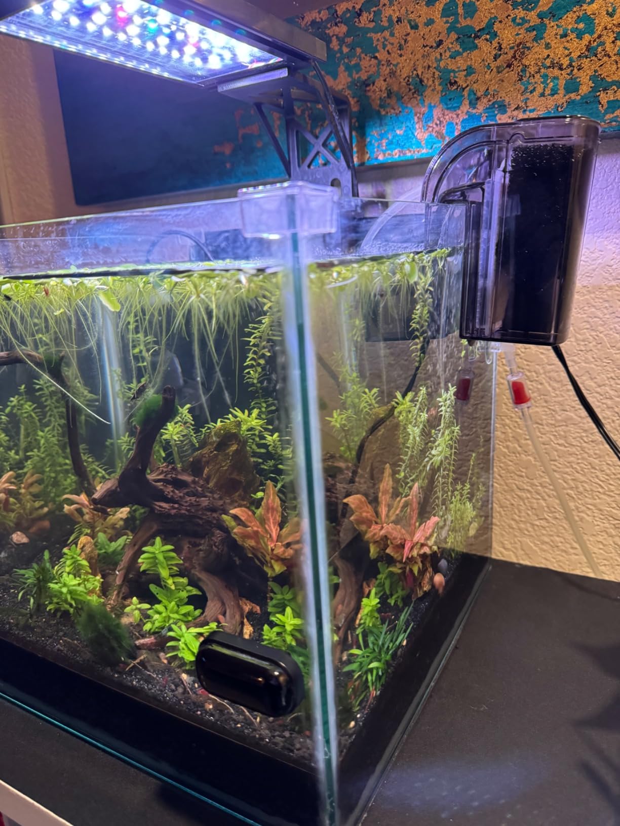 Finnex PF-7 Nano Aquarium HOB Power Filter, 52 GPH, up to 7.5 Gallon Aquariums customer photo 1