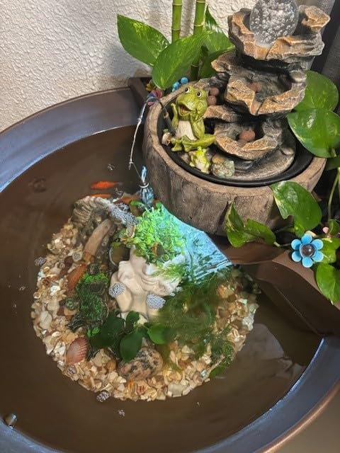 Aquascape AquaGarden Pond Kit, Container Water Garden | 78325 customer photo 1