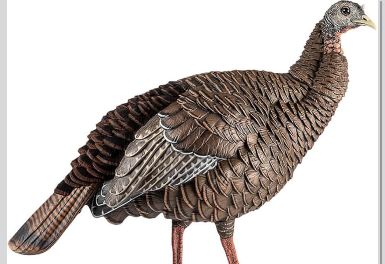 Avian-X HDR Hen Turkey Decoy with 2 Removable Heads, Carry Bag & Integrated Stake customer photo 1