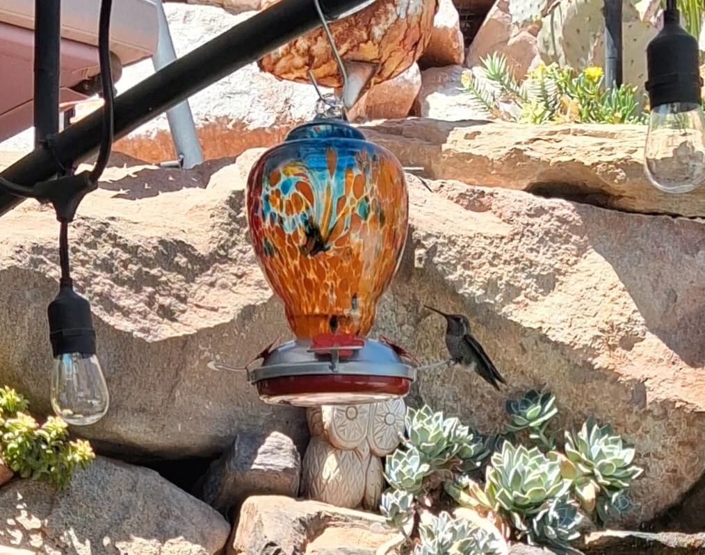 WOSIBO Hummingbird Feeder for Outdoors Patio Large 32 Ounces Colorful Hand Blown Glass Hummingbird Feeder with Ant Moat Hanging Hook, Rope, Brush and Service Card (RED-Firework) customer photo 1