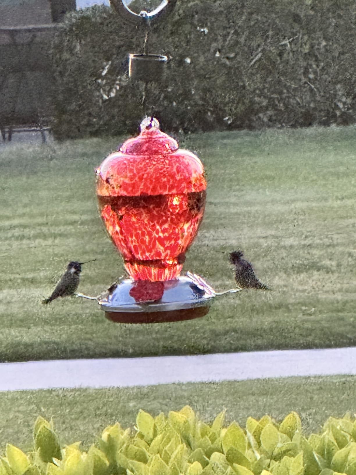WOSIBO Hummingbird Feeder for Outdoors Patio Large 32 Ounces Colorful Hand Blown Glass Hummingbird Feeder with Ant Moat Hanging Hook, Rope, Brush and Service Card (RED-Firework) customer photo 2