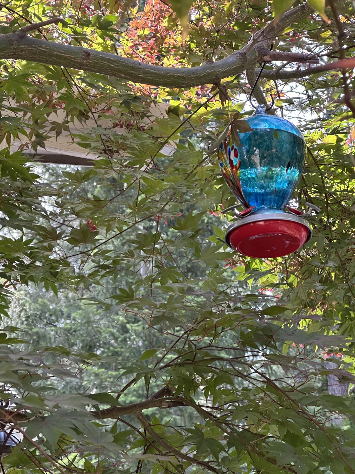 Muse Garden Hummingbird Feeders for Outdoors Hanging, Blown Glass Hummingbird Feeder Gifts for Women, Garden Decor Backyard Decor, Unique Gardening Gifts for Older Women, 34OZ, Comet customer photo 1