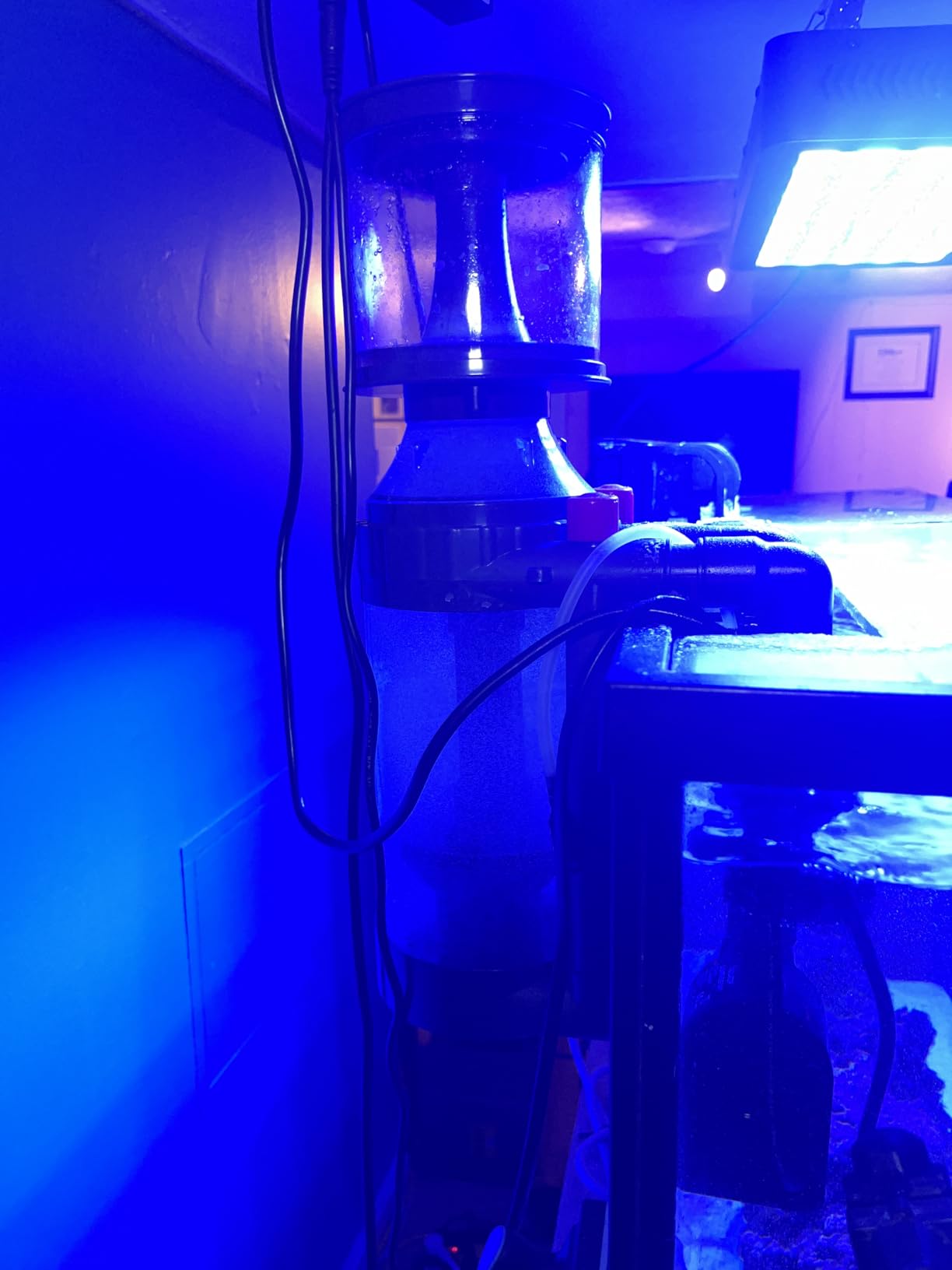 Aquatop Xyclone Mini DC Protein Skimmer - Filtration for Saltwater Aquariums - Ultra-Quiet Operation - Up to 55 Gal - Hang-On or in-Sump Installation customer photo 2