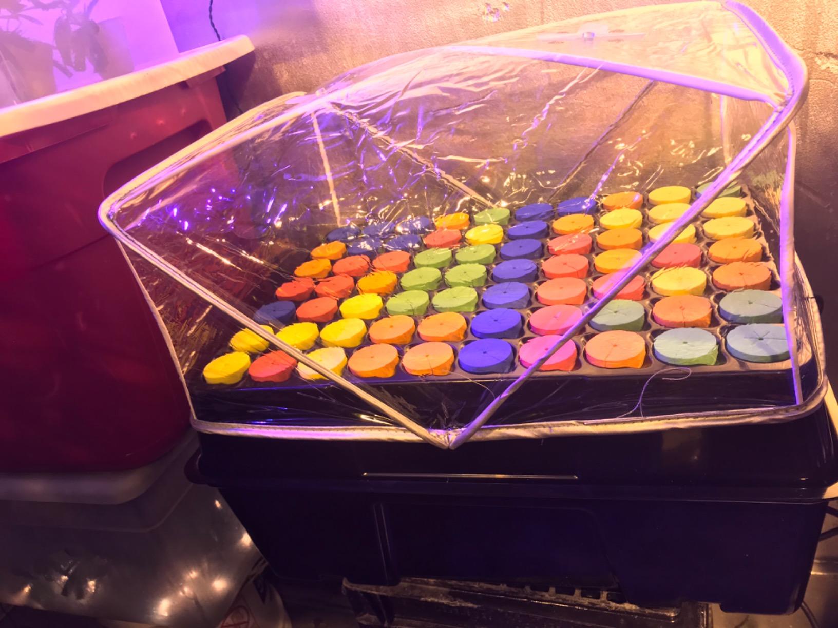 Psycloner Pro Clone Machine, Aeroponics System, Cloner for Plant Cuttings, Propagation + Bonus (35 Site) customer photo 2