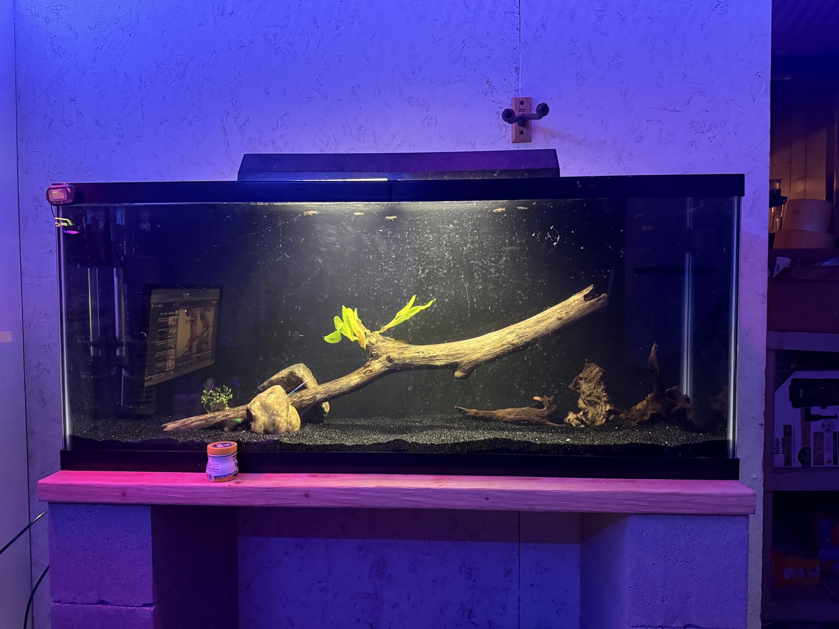 AQUANEAT Circulation Pump, 800GPH Aquarium Wave Maker, Fish Tank Powerhead Submersible Water Pump with Suction Cup customer photo 2