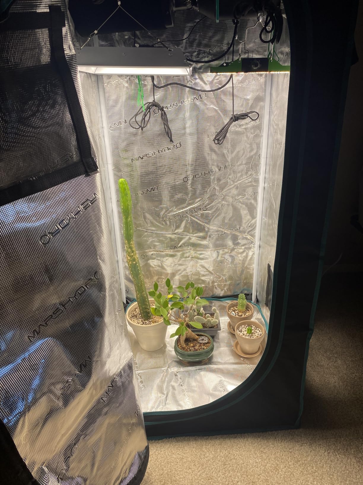 MARS HYDRO 2x2 Grow Tent Kit Complete System with 10 Speed Fan, 100W Upgraded TS600 LED Dimmable Grow Light, 24x24x55 1680D High Reflective Mylar Grow Tent, 4 inch Smart WiFi Control Ventilation Kit customer photo 1