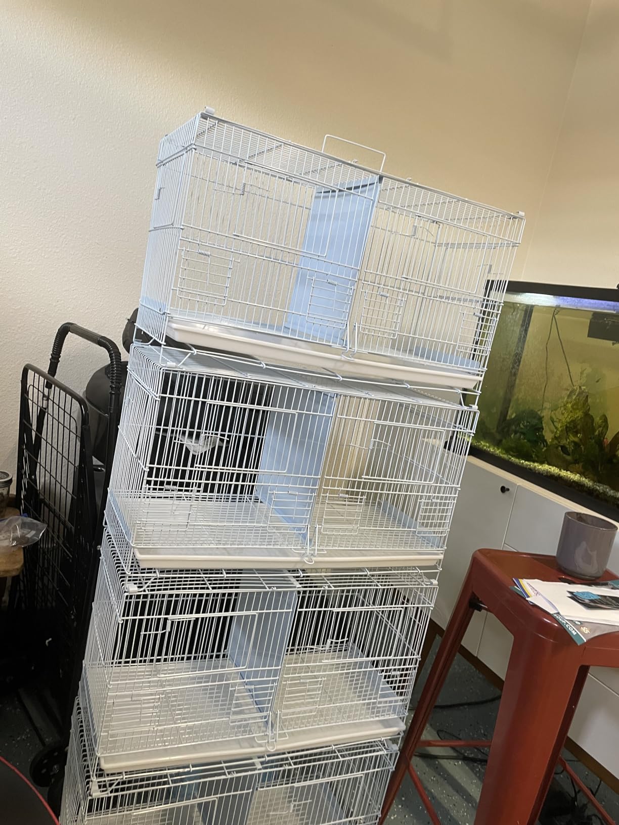 Seny Set of 4 Stackable Breeding Bird Cage for Canary Finch Small Birds (White) customer photo 2