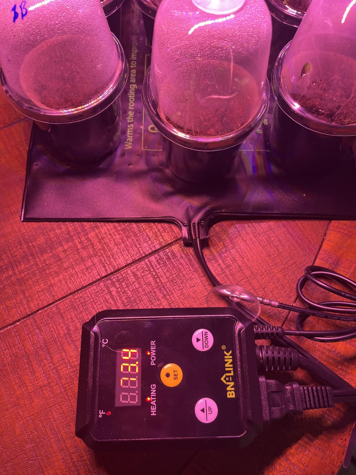 BN-LINK Seedling Heat Mat with Thermostat Controller Combo Set, 10