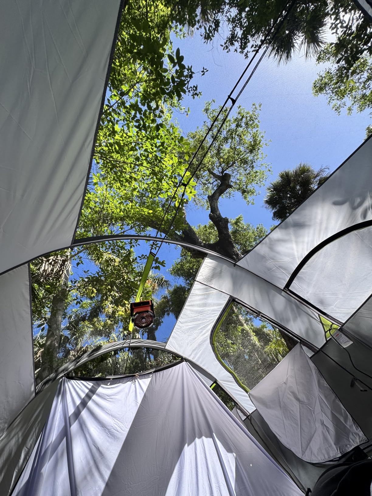 CAMPROS CP Tent 8 Person Camping Tents, Weather Resistant Family Tent customer photo 2