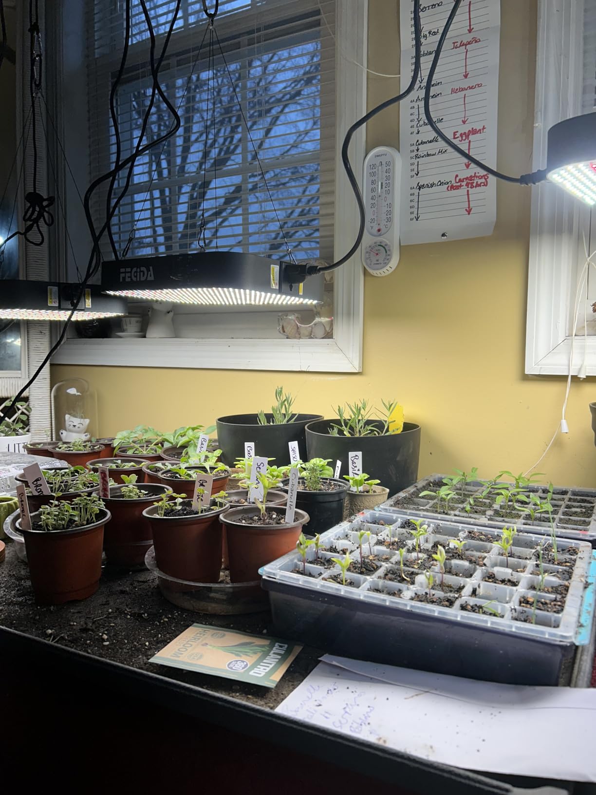 FECiDA 1200W Equivalent LED Grow Light, 130 Watt Power Draw Full Spectrum Grow Lights for Seed Starting, Seedlings, Veg, Bloom, 0-100% Dimmable, Daisy Chain, Quiet Cooling Fan customer photo 2