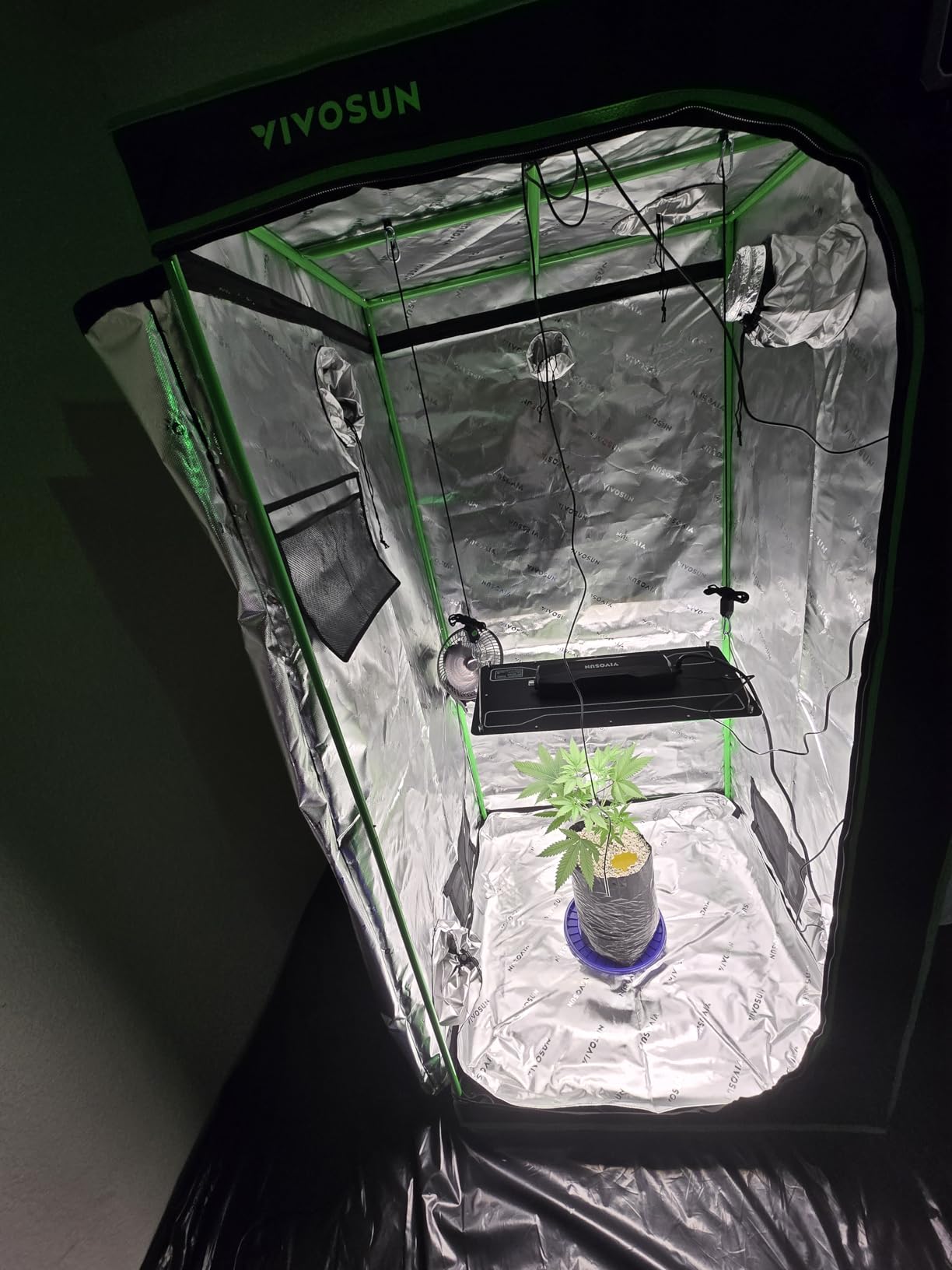 VIVOSUN LumaLight 200W LED Grow Light, Full Spectrum Plant Light, Smart Dimmable & High PPFD for Indoor Plants Seedling Vegetables Bloom, Fits 2x4/3x3 Grow Tents customer photo 2