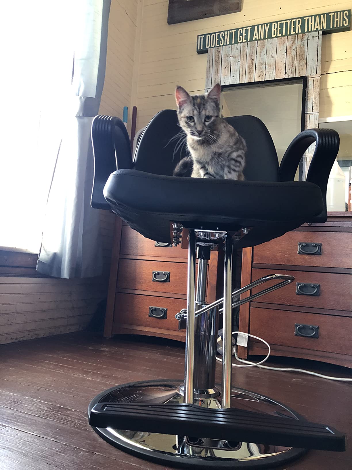 Barber Chair Salon Chair Styling Heavy Duty Hydraulic Pump Stylist Chair Adjustable Hydraulic Chair for Hair Stylist Women Man customer photo 2