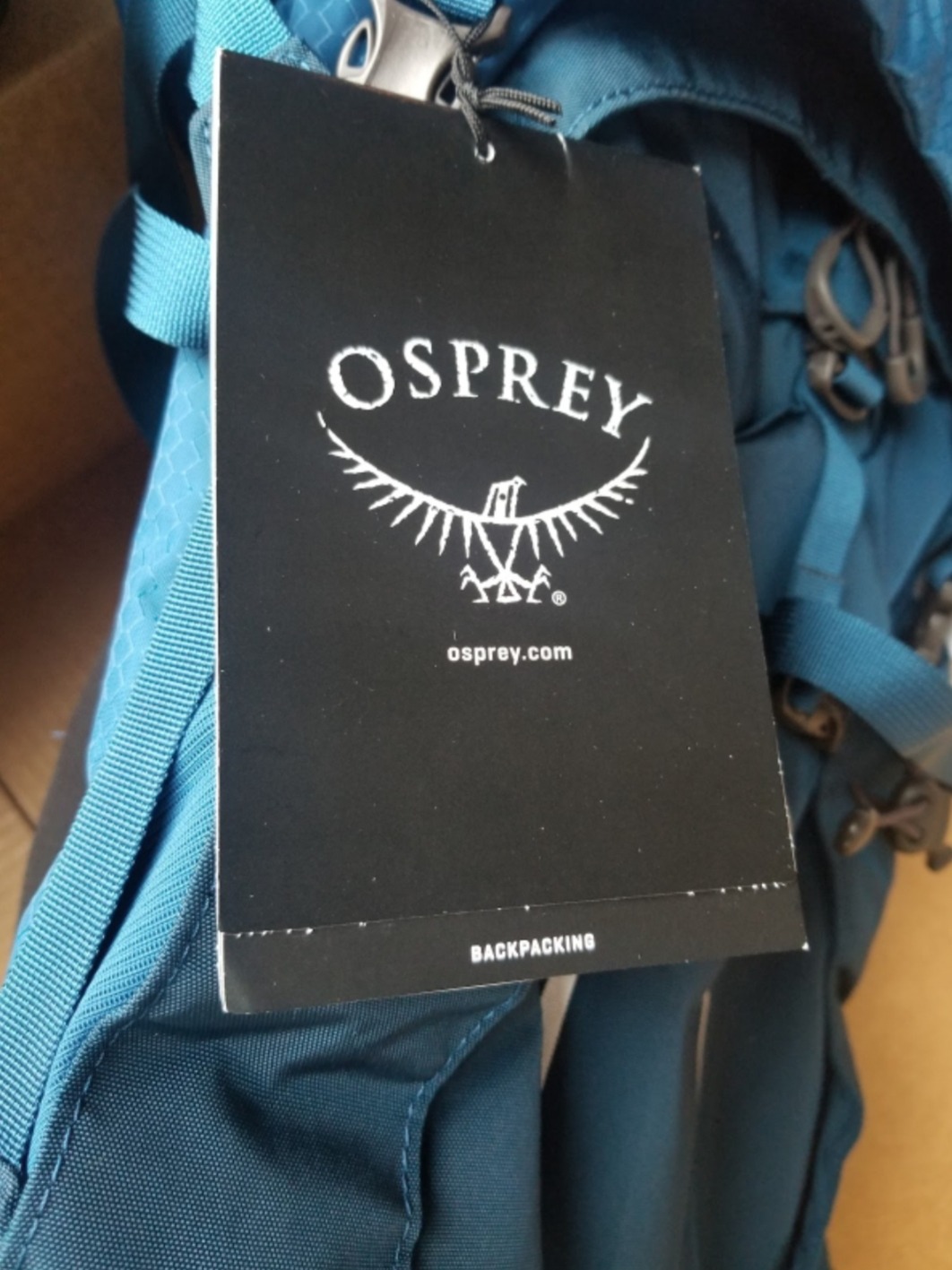 Osprey Aether 65L Men's Backpacking Backpack, Garlic Mustard Green, L/XL customer photo 2