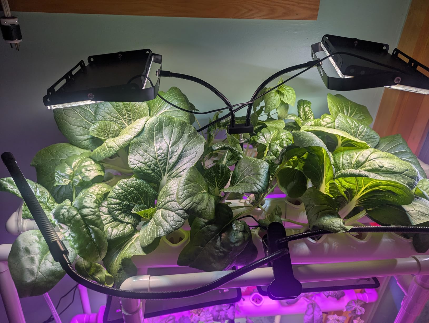 Hydroponics Growing System Kit 36 Plant Sites Food-Grade PVC-U Pipes Hydroponic Grow Kit Gardening System for Vegetables, Fruits, Herb customer photo 1