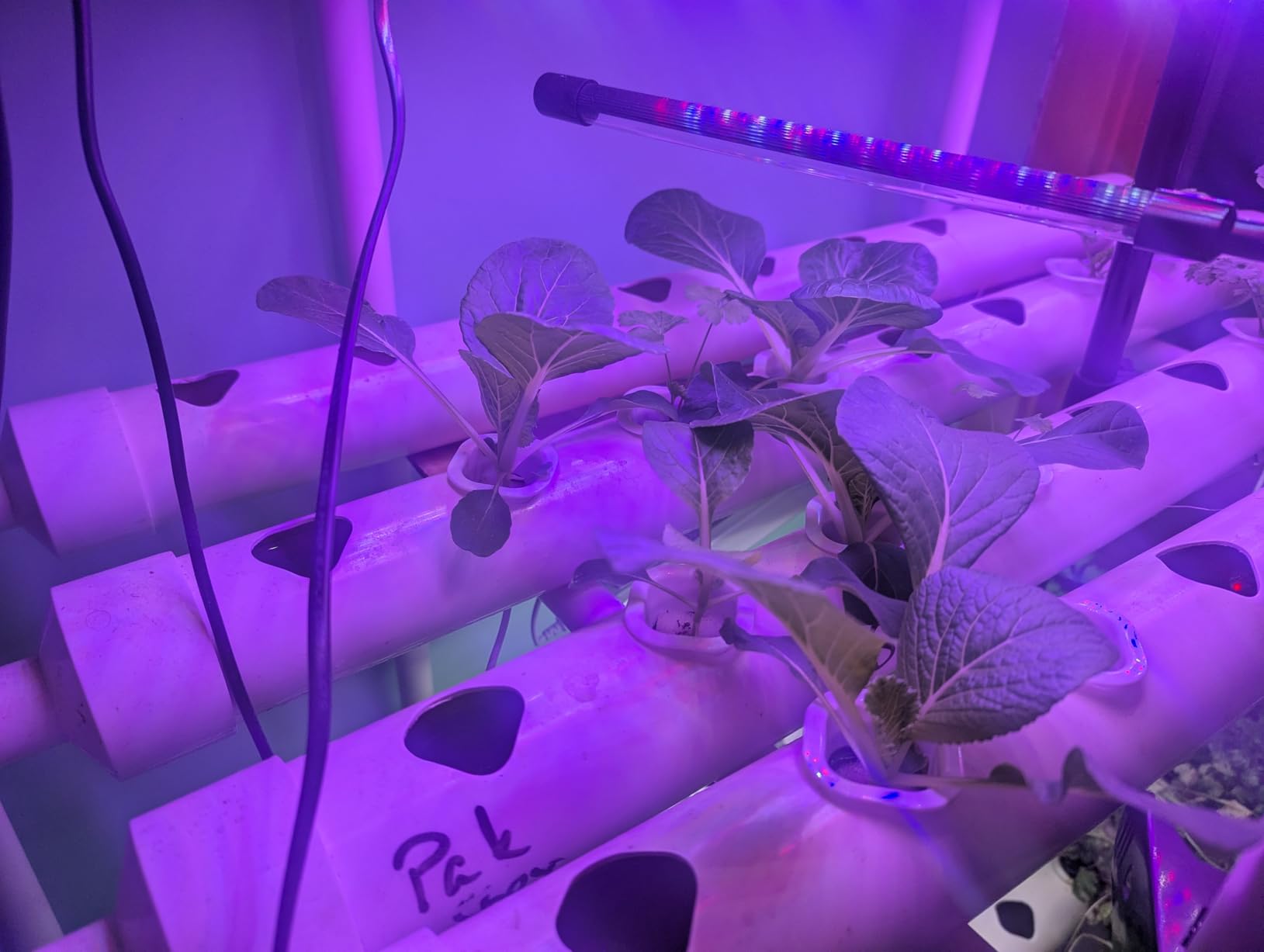 Hydroponics Growing System Kit 36 Plant Sites Food-Grade PVC-U Pipes Hydroponic Grow Kit Gardening System for Vegetables, Fruits, Herb customer photo 2