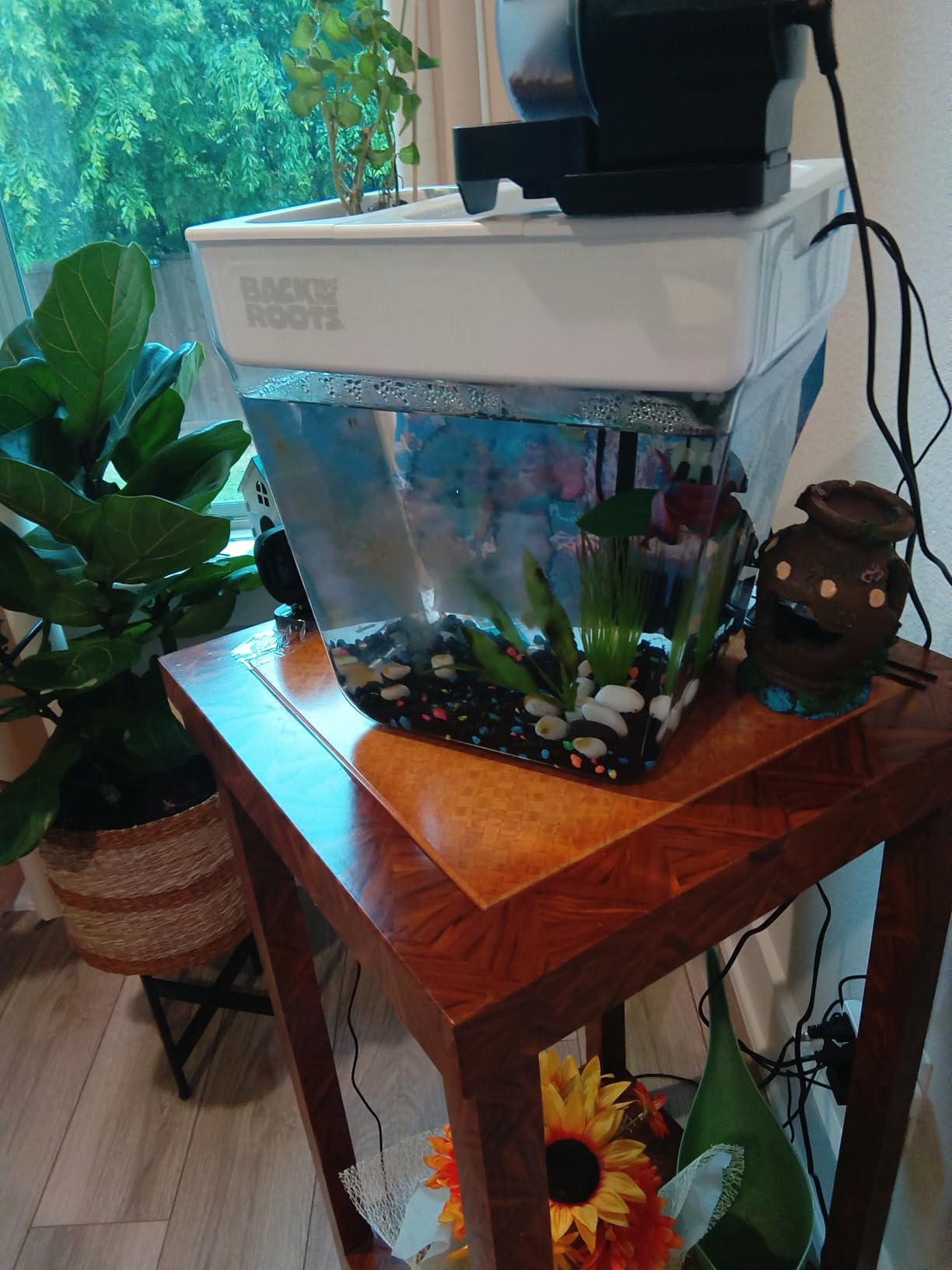 DXOPHIEX Automatic Fish Feeder Food Dispenser Vacation Fish Feeder Powered by Battery and USB for Aquarium and Turtle Tank customer photo 1