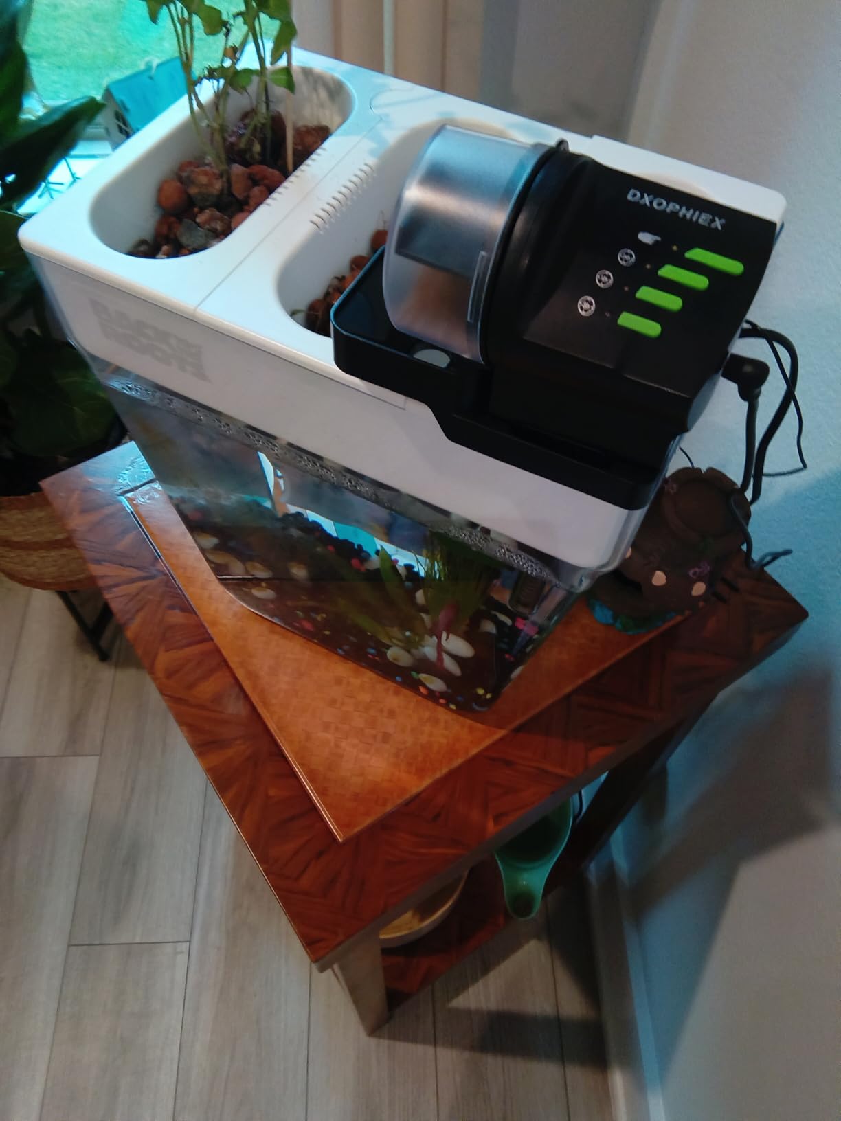 DXOPHIEX Automatic Fish Feeder Food Dispenser Vacation Fish Feeder Powered by Battery and USB for Aquarium and Turtle Tank customer photo 2