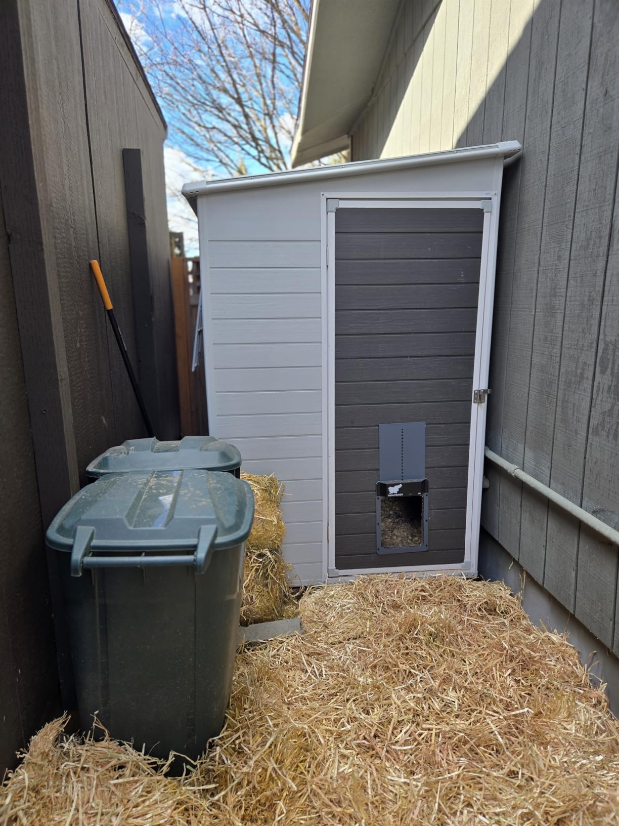RUN-CHICKEN Door T50 - Automatic Chicken Coop Door Opener customer photo 1