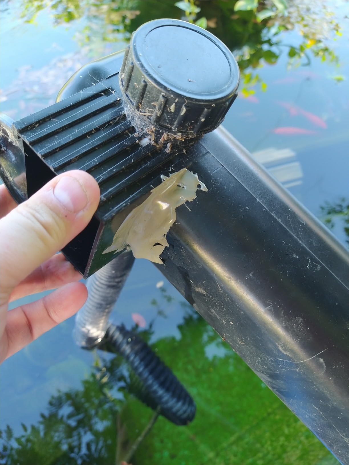 Jebao CW-55 Pond and Aquarium Clarifier, 55-watt customer photo 1