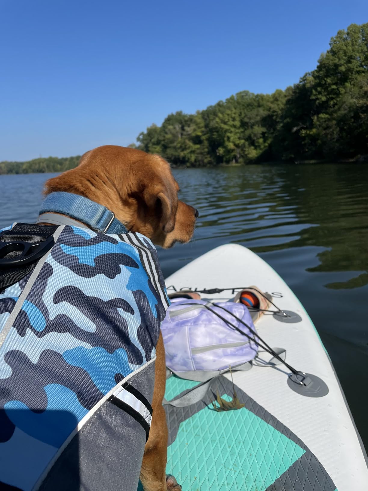 Aqua Plus 6inches Thick Inflatable SUP for All Skill Levels Stand Up Paddle Board, Paddle, Pump, ISUP Travel Backpack, Leash, Shoulder Strap, Youth, Adult Inflatable Paddle Board customer photo 2