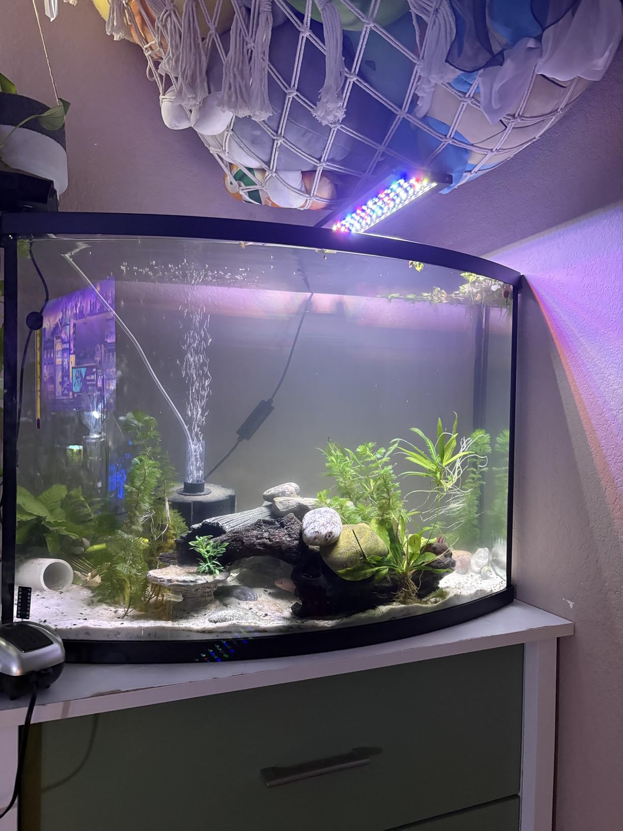 hygger Clip On 24/7 Lighting Aquarium LED Light, Sunrise-Daylight-Moonlight and DIY Mode, Adjustable Timer/Brightness Fish Tank Light with 7 Colors for Planted Tank (14W for 12~20in Tank) customer photo 1