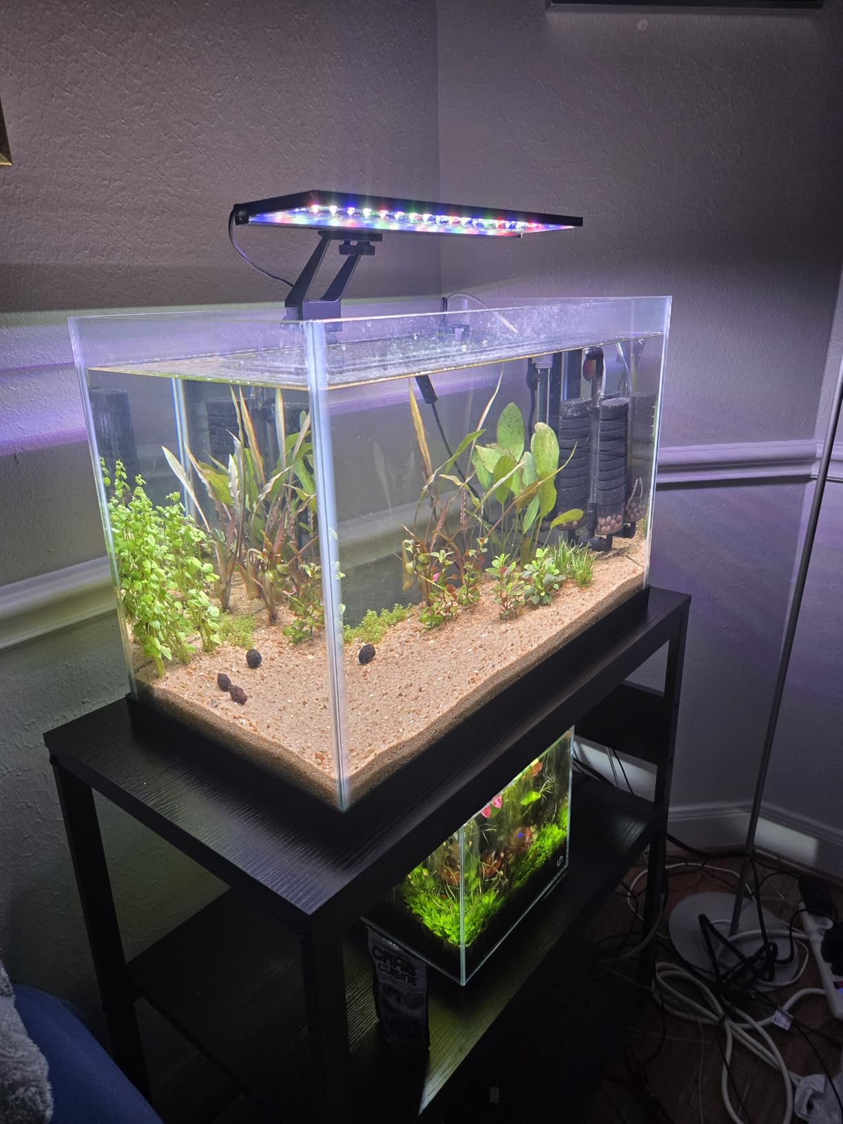 hygger Clip On 24/7 Lighting Aquarium LED Light, Sunrise-Daylight-Moonlight and DIY Mode, Adjustable Timer/Brightness Fish Tank Light with 7 Colors for Planted Tank (14W for 12~20in Tank) customer photo 2