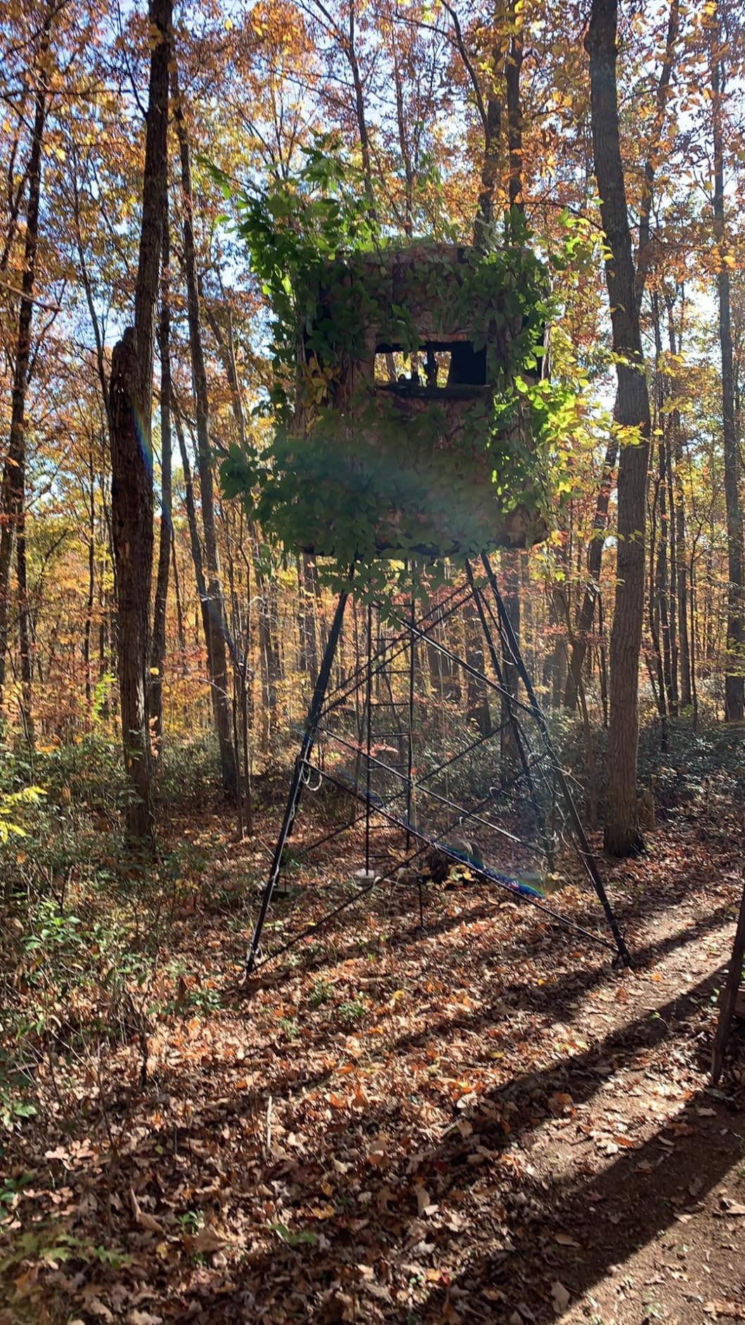Muddy Soft Side 360 Resistant Heavy-Duty Powder Coated Steel Hunting Blind - Insulated Fabric Walls, Floor Pad, Silent Zipper Window System w/Sliding Mesh Backing, Rubber Dampeners customer photo 1