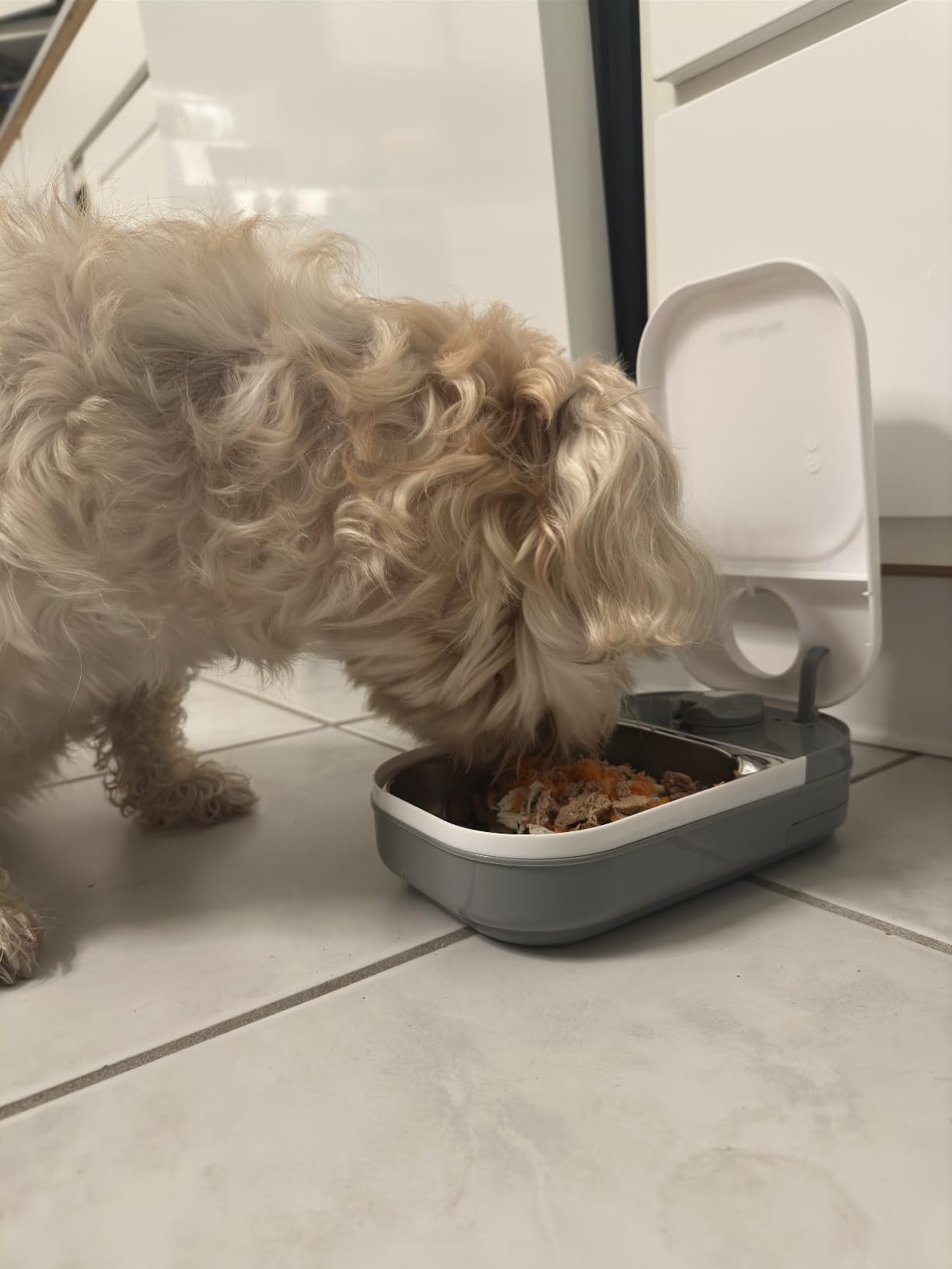 Closer Pets C200 2 Meal Timer-Controlled Automatic Pet Feeder - for Cats and Small Dogs, Wet or Dry Food, Stainless Steel Bowl Inserts and Ice Pack, up to 14 oz Each, White customer photo 3