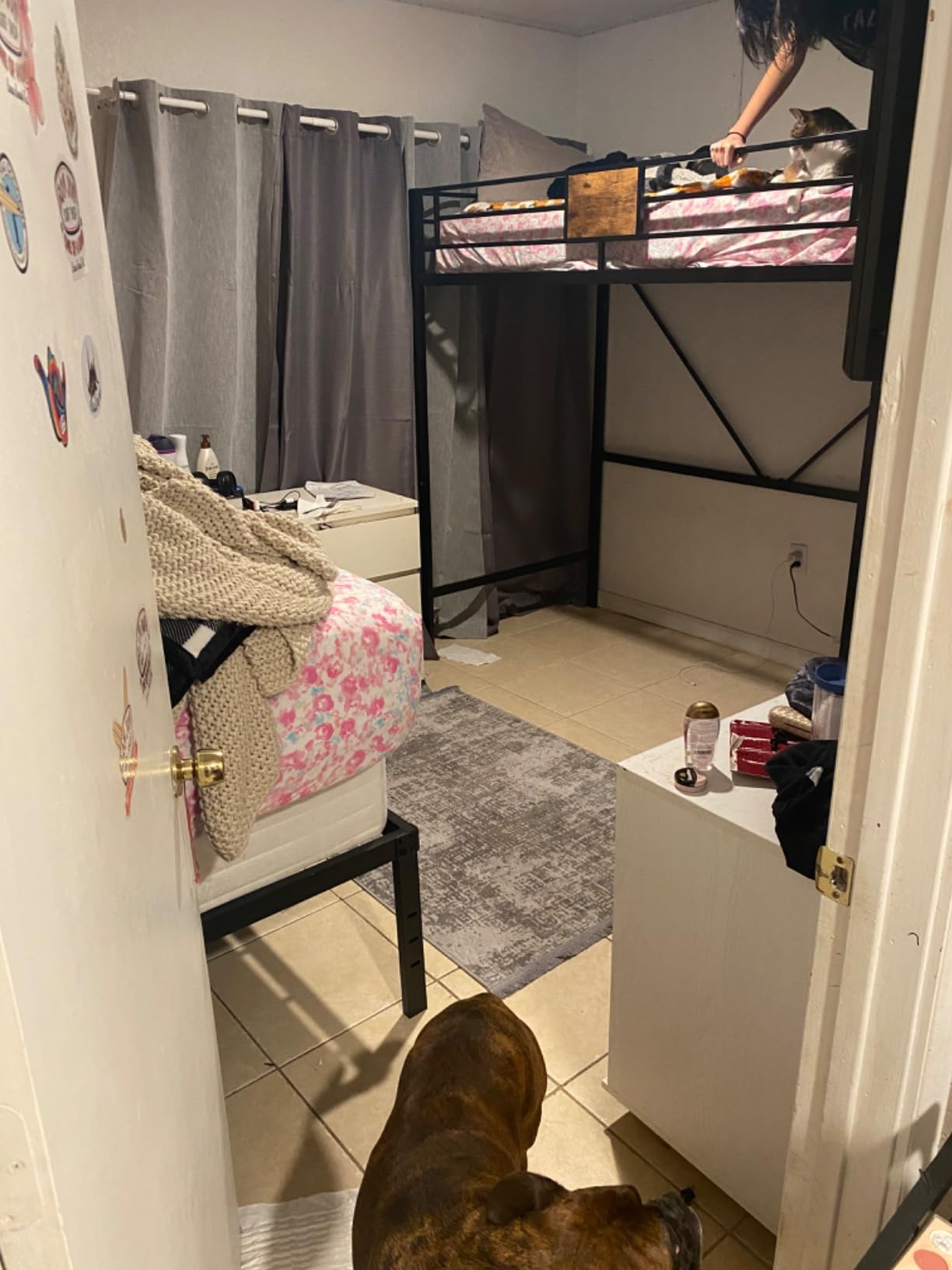SHA CERLIN Loft Bed Twin Size with Ladder and Guardrail,Rustic Design,Metal Slats Support No Box Spring Needed Small Space Saving Furniture for Bedroom Dorm customer photo 1