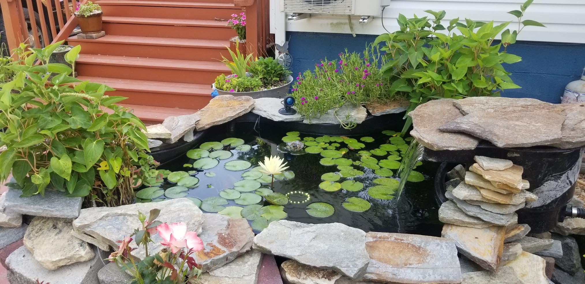 HALF OFF PONDS and Water Gardens Shock Wave 55-Watt in-Line Clarifier for Ponds and Water Features customer photo 1