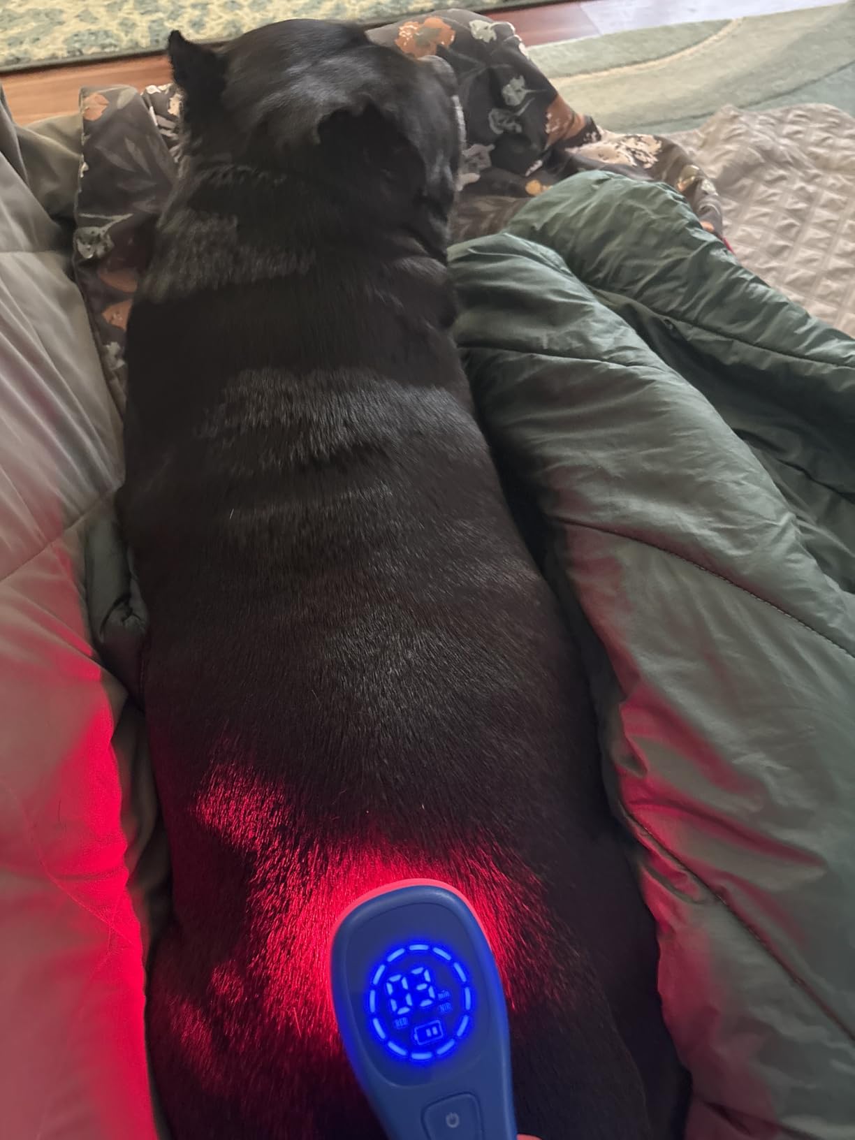 Shine Relief - Red & Near Infrared Light Therapy Device 660nm & 850nm for Skin Health, Joint Pain Relief & Deep Tissue Muscle Recovery | All-in-One Professional Device for Home Use customer photo 1