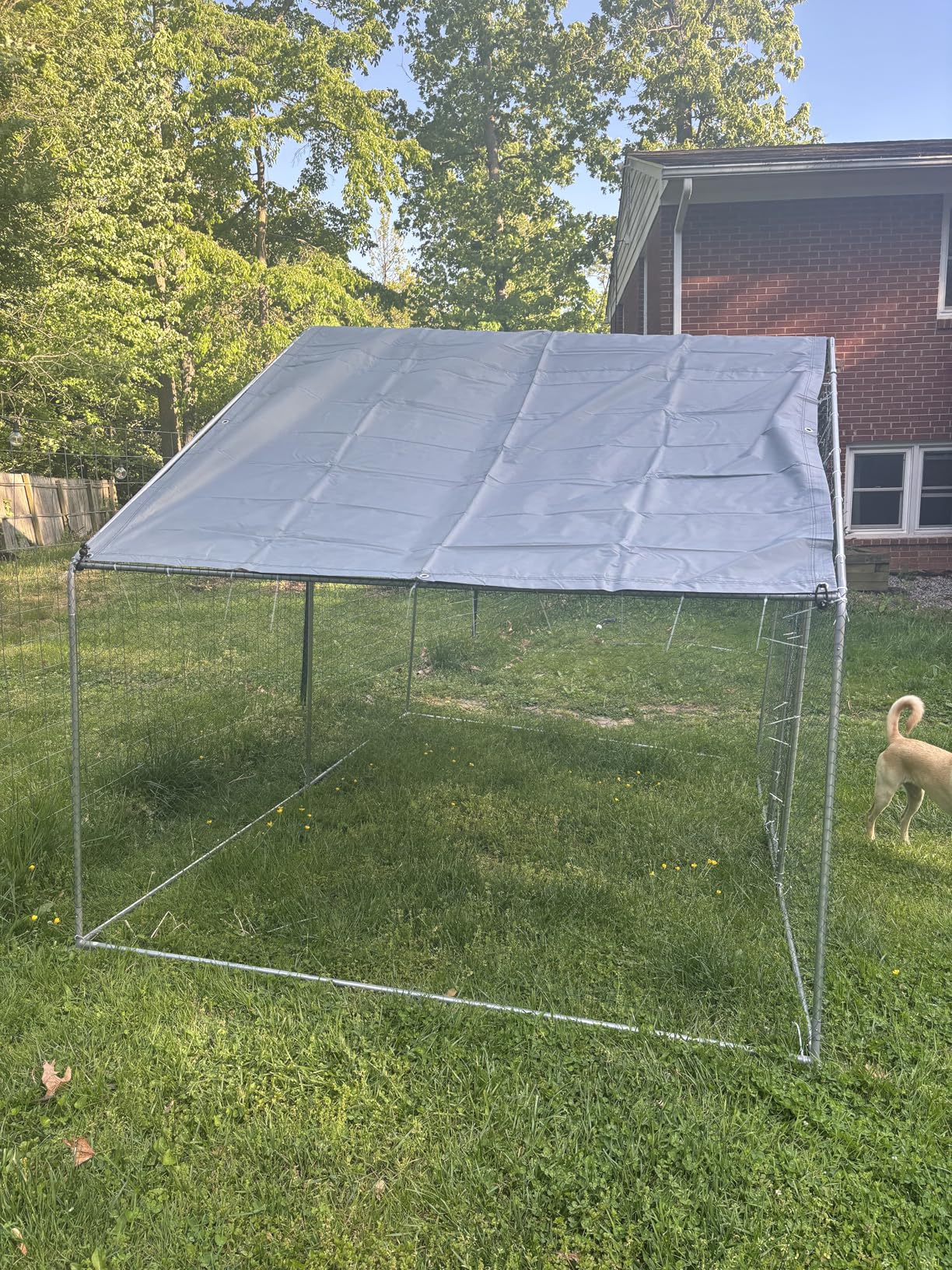 Large Metal Chicken Coop Round Top Upgrade Tri-Supporting Wire Mesh Chicken Run,Chicken Pen with Water-Resident and Anti-UV Cover,Duck Rabbit House Outdoor (Spire Roof 10' W x 6.6' L x 6.5' H) customer photo 2