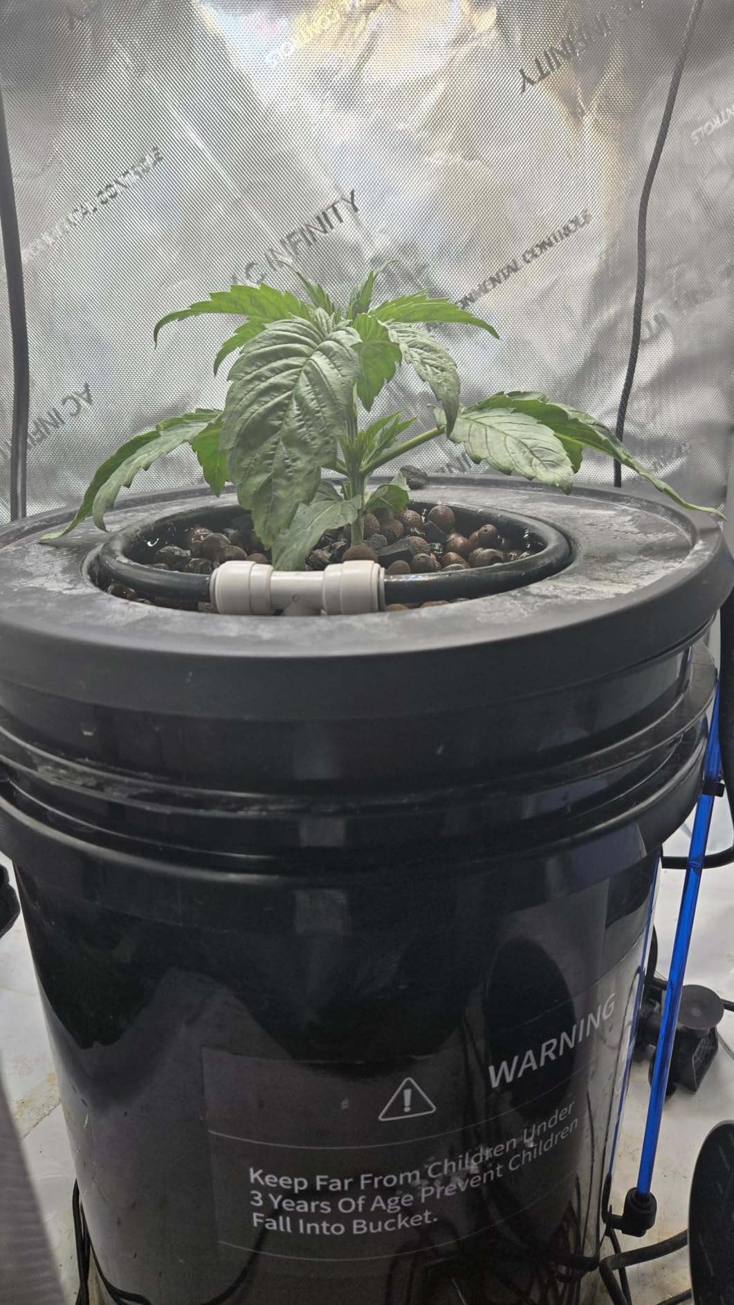 AC Infinity AI Grow System 2x2, 1-Plant Kit w/Self-Learning AI Controller, Dynamic Airflow & LM301H LED Lighting Control, 2000D Mylar Tent w/Lab Tested Reflectivity, Largest Zippered Window customer photo 1