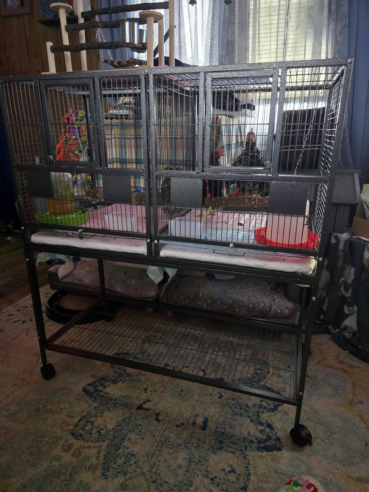 Double Stackable Wrought Iron Breeder Cage customer photo 1