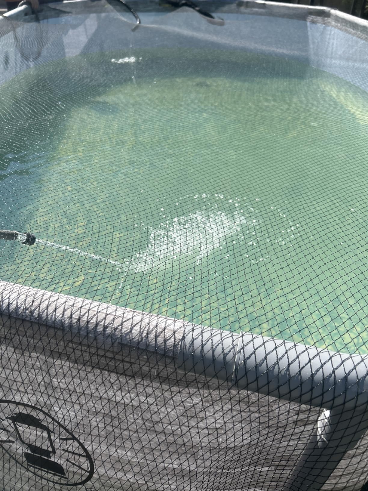 BUZIFU Pond Netting, 15 x 20FT Heavy Duty Pond Net for Koi Ponds, Garden Pool Fine Mesh Netting Kit for Leaves, Protects Koi Fish from Birds Cats Predators, with 14 Stakes and 30 Cable Zip Ties customer photo 1