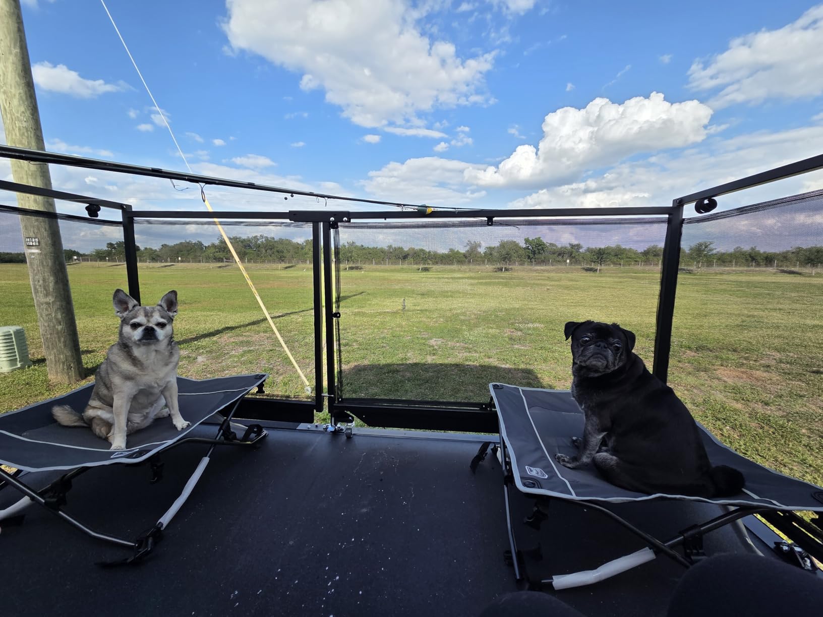 TIMBER RIDGE Outdoor Dog Bed, Cooling Elevated Pet Bed Portable Raised Dog Bed with Breathable Mesh, Dog Bed Foldable Dog Cot for Indoor & Outside, Grey customer photo 1